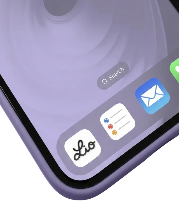 Interface Lio - Facturation intelligente