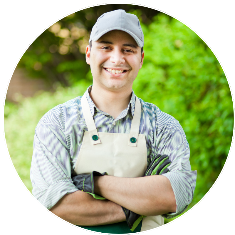 Avis utilisateur Lio